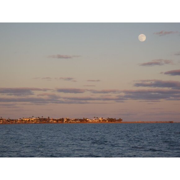 Olympus Stylus Tough-6020 Digital Camera 14.0MP 5x Optical Zoom HD Video 16GB SD - Picture 7 of 16